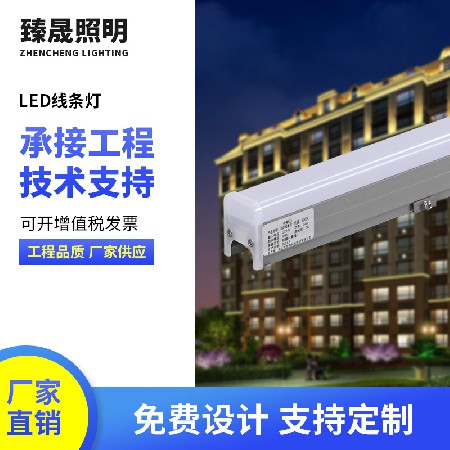 Outdoor Line Light Colorful LED Engineering Lighting Contour Light Running Lantern Villa Hotel Non standard Line Light 12W