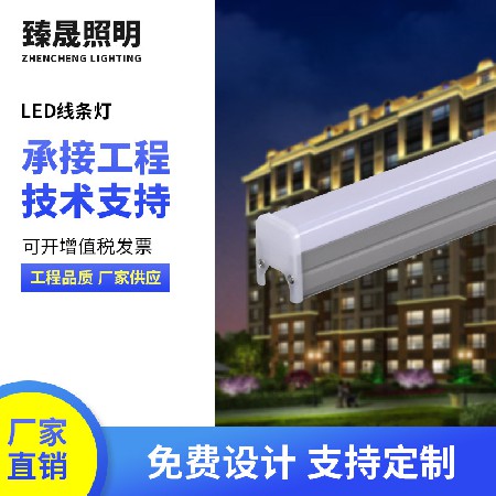 LED Linear Light Outdoor Linear Light Lighting Project Colorful Hotel Building Exterior Wall 24V Contour Light Linear Light